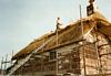 gal/Water Reed, Chester/_thb_mini-Thatching Pic (2).jpg